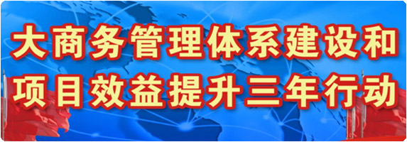 大商务管理体系建设和项目效益提升三年行动